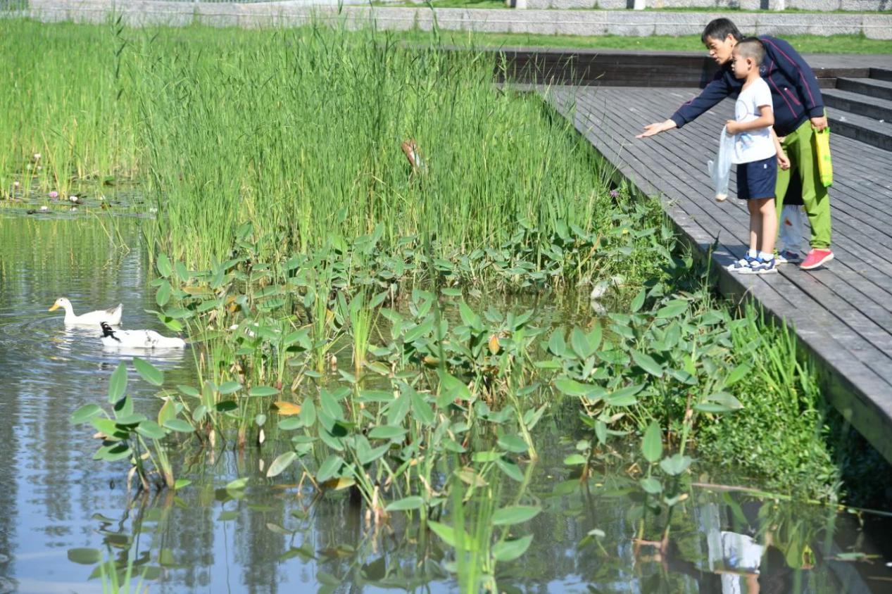 水润新城最新价格概览及市场分析