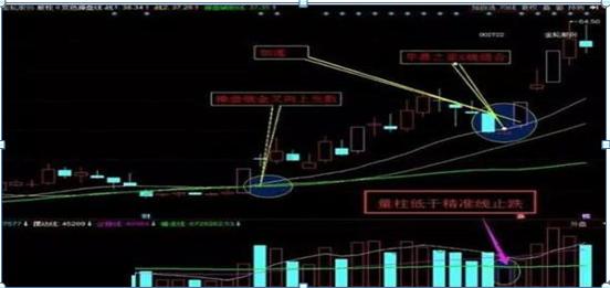 金轮股份最新行情深度解析