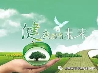 漯河最新司机招聘，探索职业发展的黄金机会