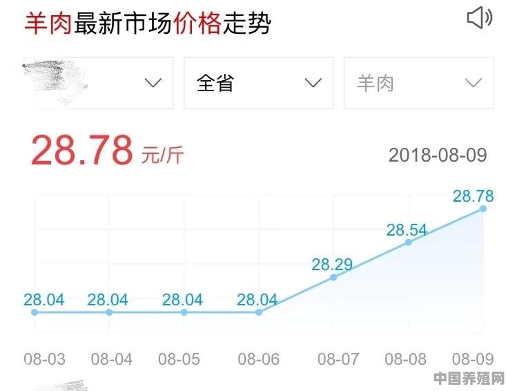 新疆最新羊肉价格走势分析