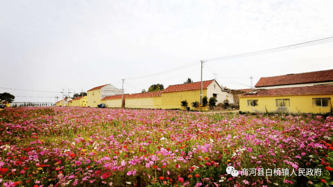 兰州黄峪乡最新规划，打造绿色生态宜居新乡村