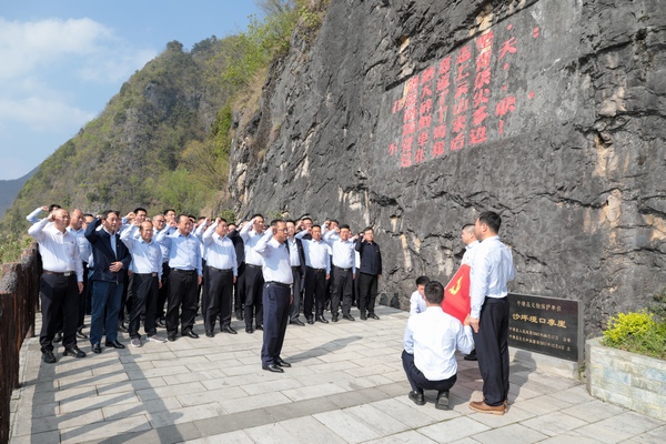 杨兴平副省长最新动态，引领与推动，展现领导风采