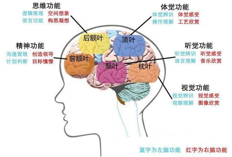 美国最新治疗类风湿性关节炎药物的研究与应用