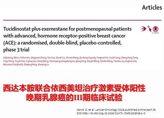 最新王立非教授去向揭秘，探索学术领域的卓越成就与未来动向